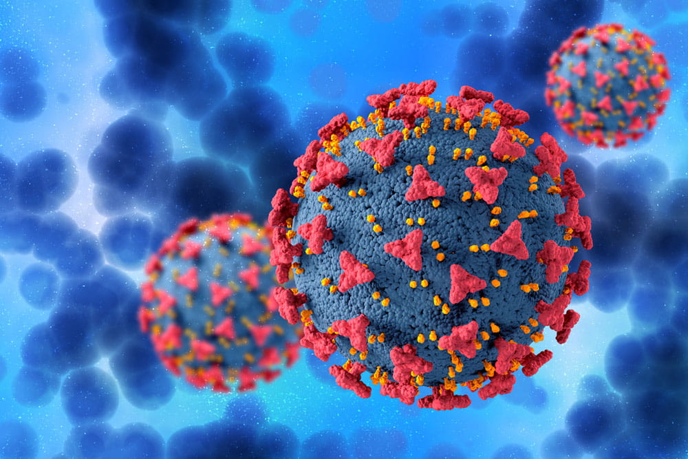 3D representation of coronavirus particles.