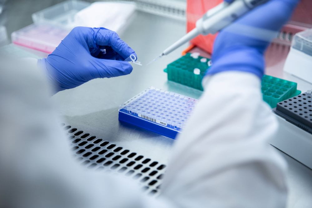 Scientist working in biosafety cabinet wearing purple gloves and pipetting into a microfuge.