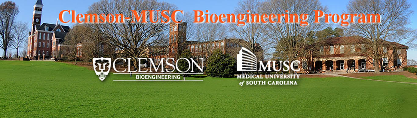 Clemson MUSC bioengineering 